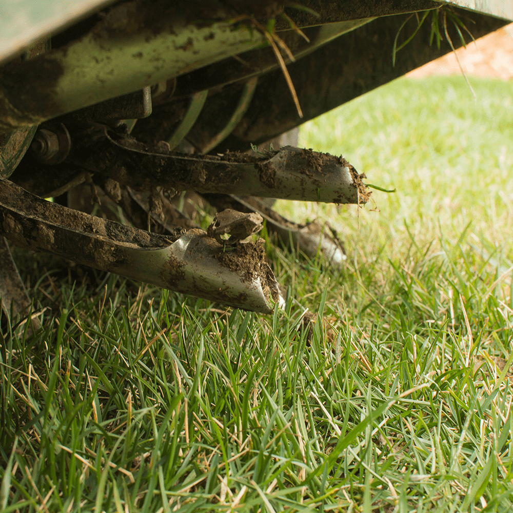 Aeration Pricing_Master Lawn-min