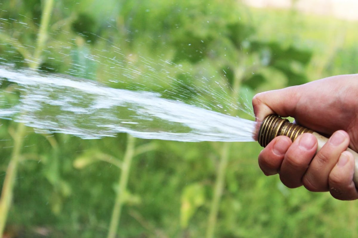 hose with water spraying out