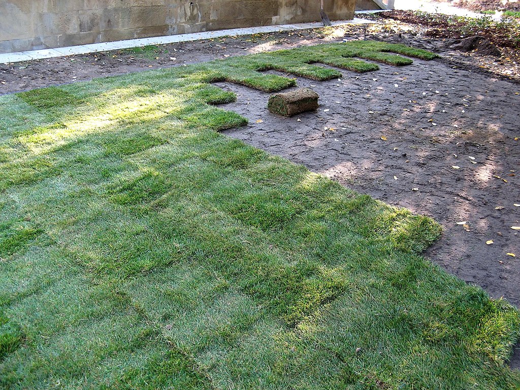 Grass Sodding a yard in Tennessee 