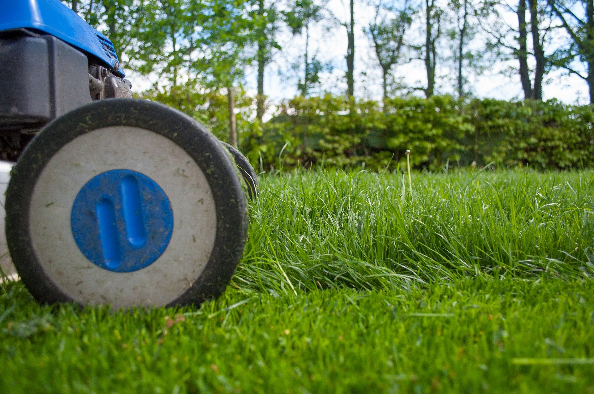 lawn mower grass height