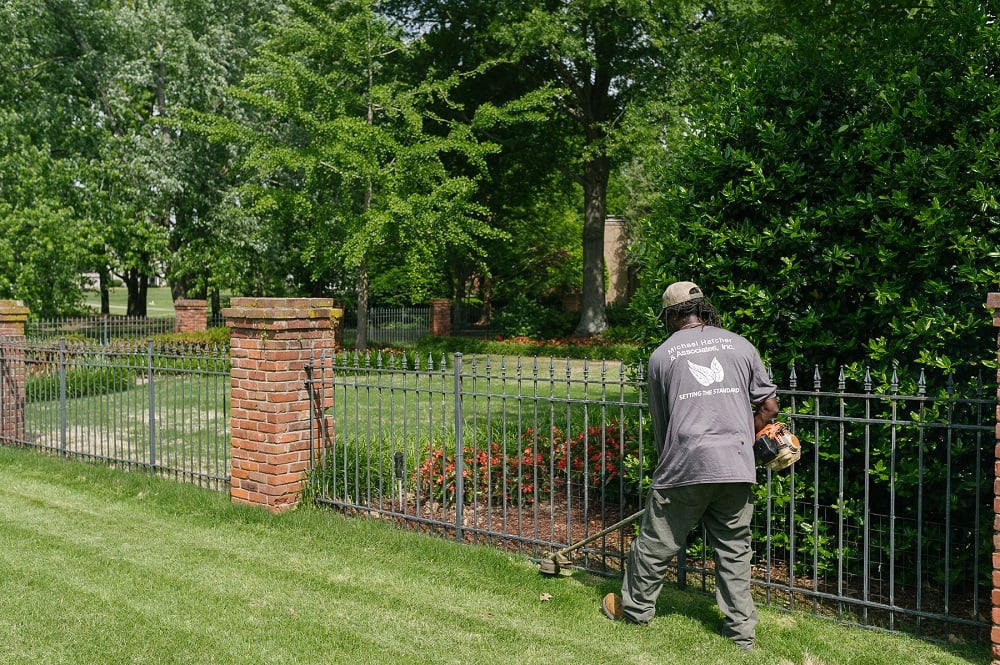 Hatcher - string trimming lawn
