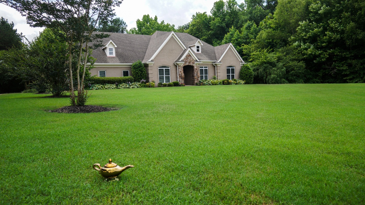 Healthy lawn with lamp for master lawn