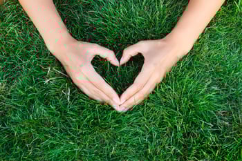 grass with safe and effective lawn care services 