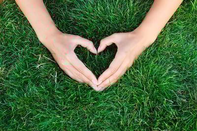 lawn-care-fertilizing-hands-grass