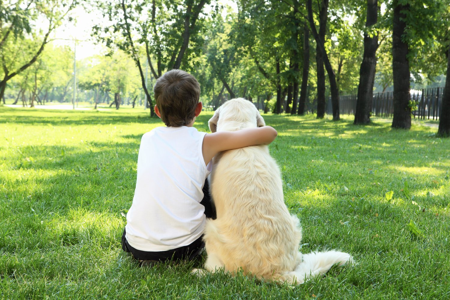 child and dog in lawn with no fleas and ticks