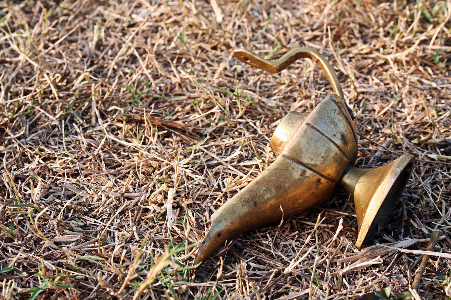lawn-care-memphis-tn-lamp-dead-grass