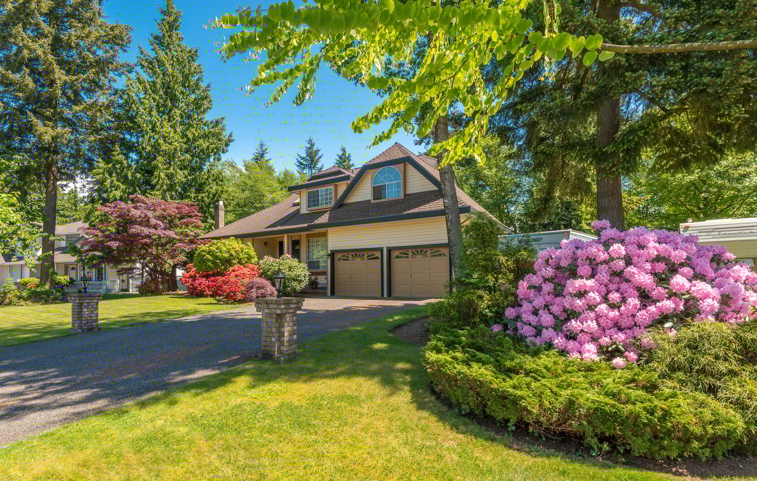 healthy trees and shrubs