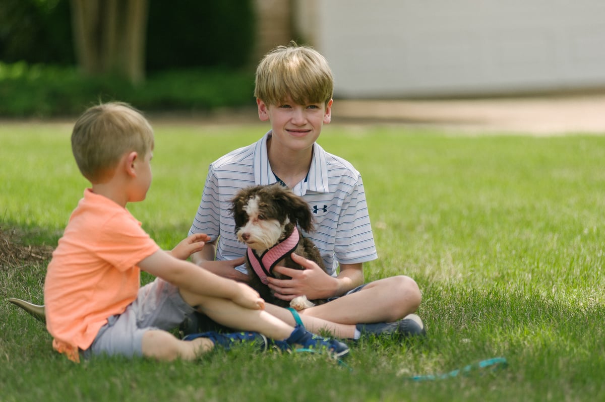 kids and dog sit on healthy grass