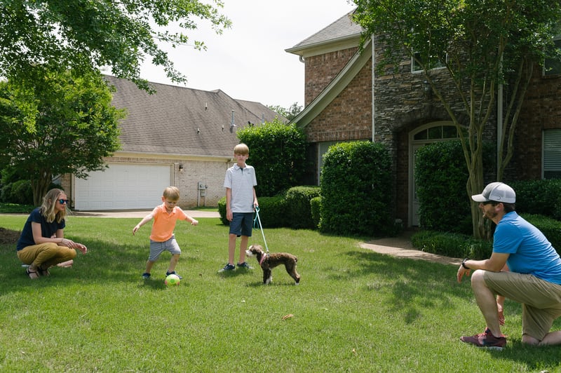 family playing in healthy lawn