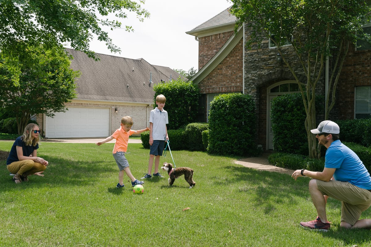 family and pets playing on lawn after fertilization