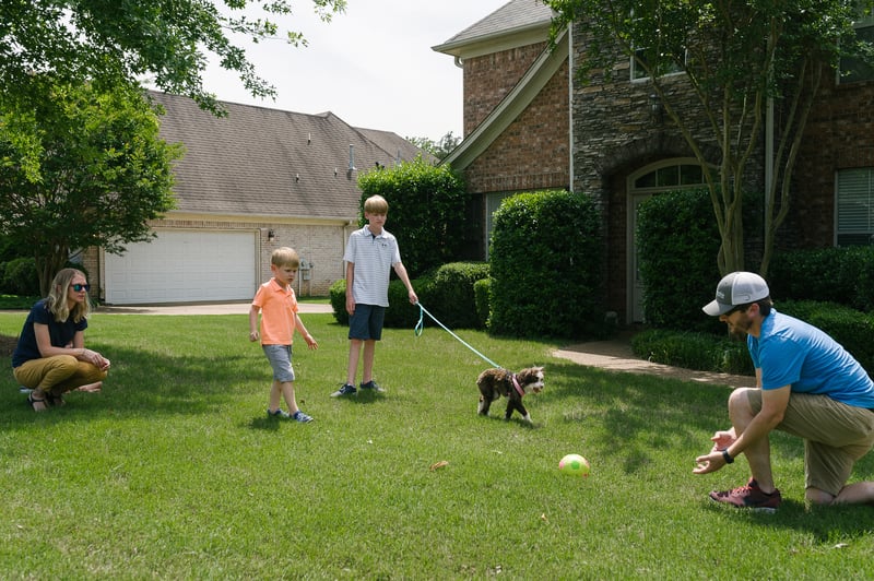 family in yard with no fleas or ticks