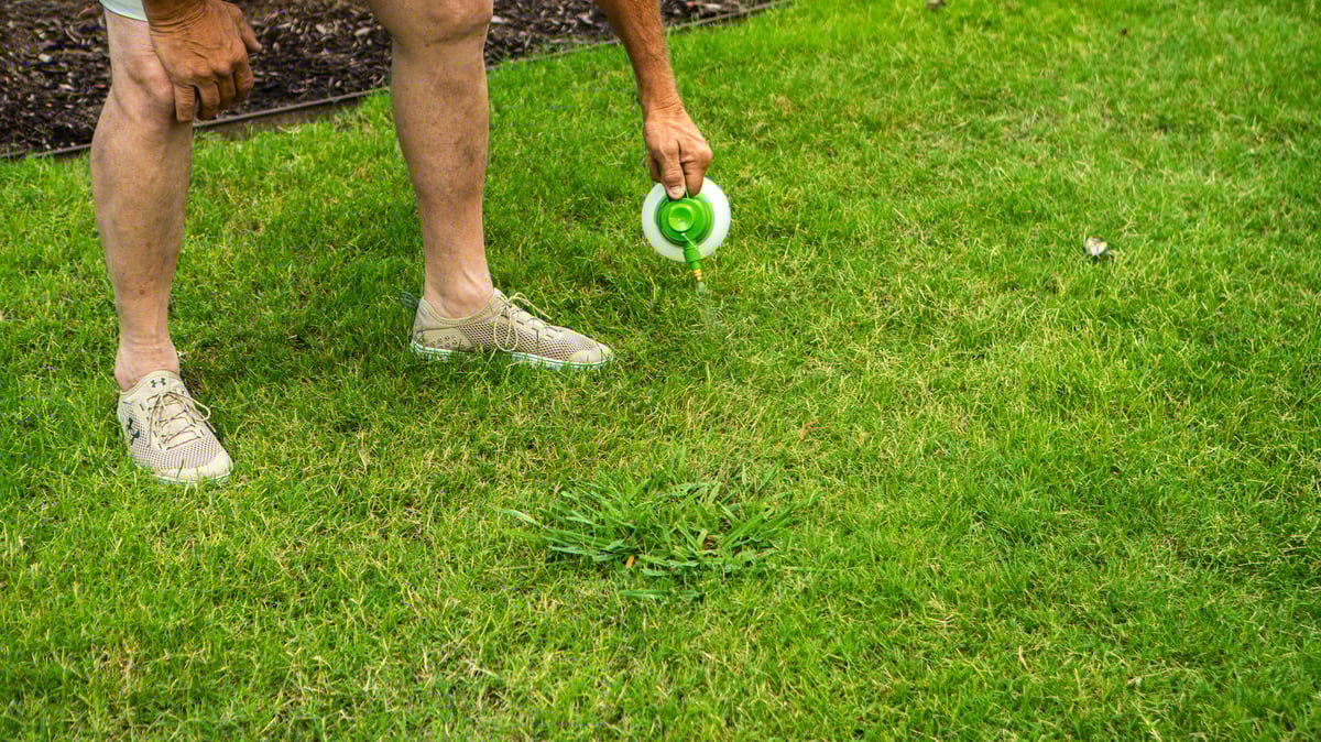 customer trying diy lawn care
