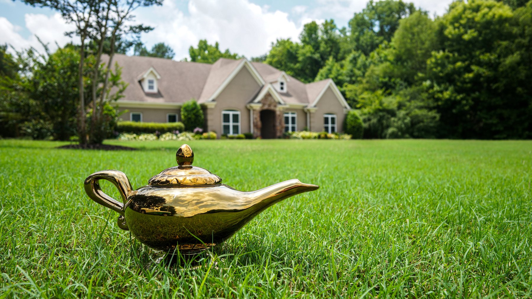 Master Lawn lawn care