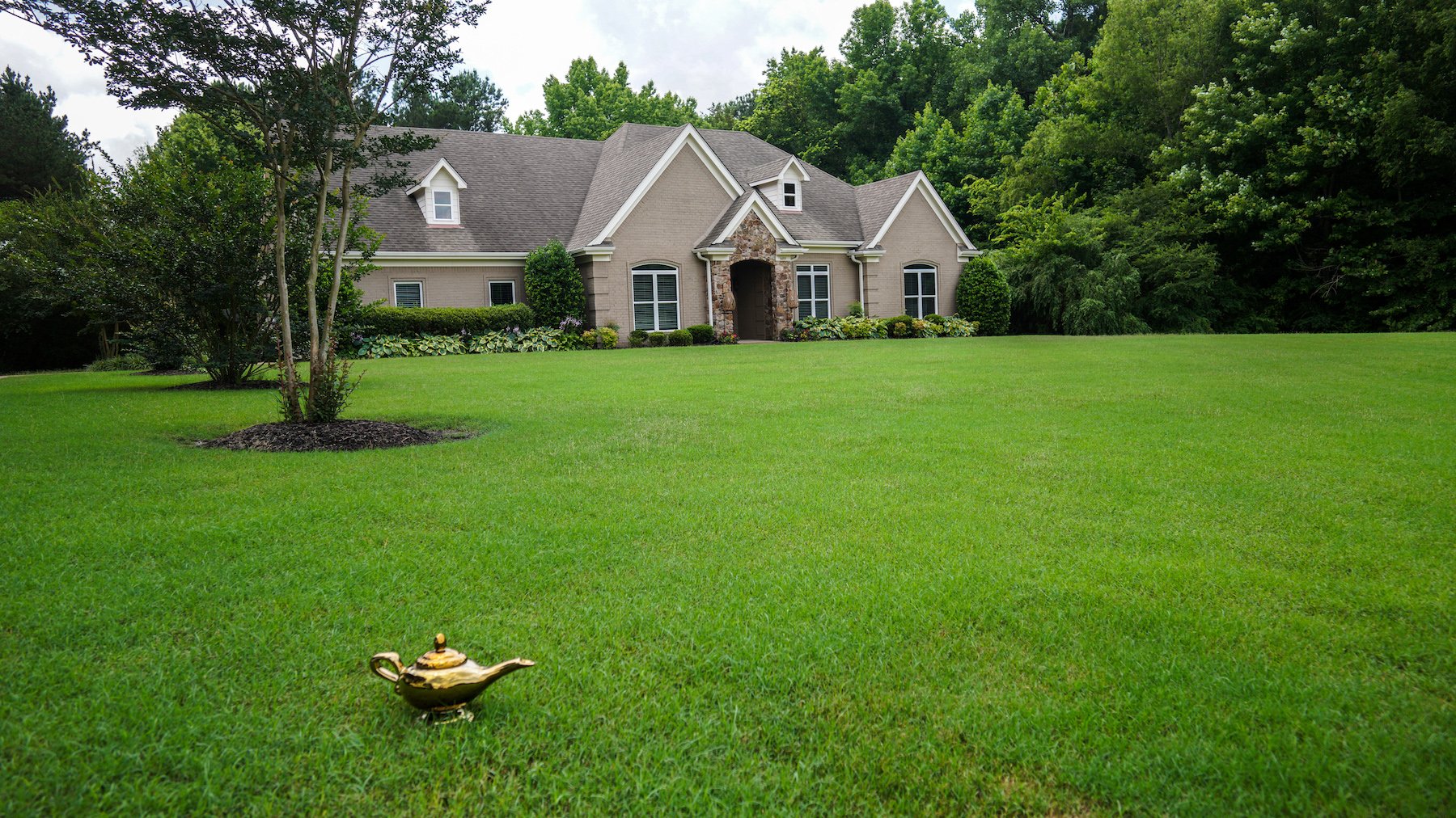 Lush green lawn cared for by Master Lawn