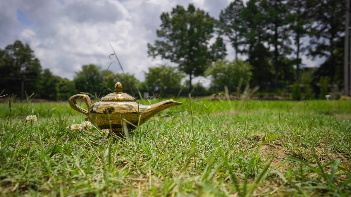 lamp sitting in lawn with weeds