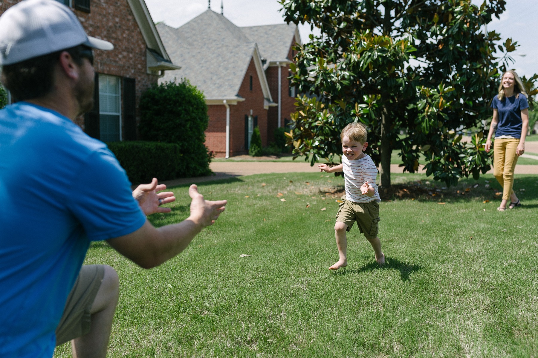 lawn care services memphis tn olive branch ms