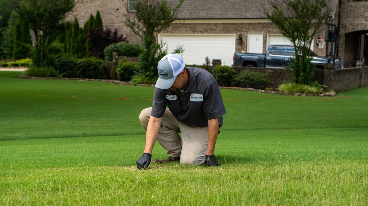lawn care technician inspects grass