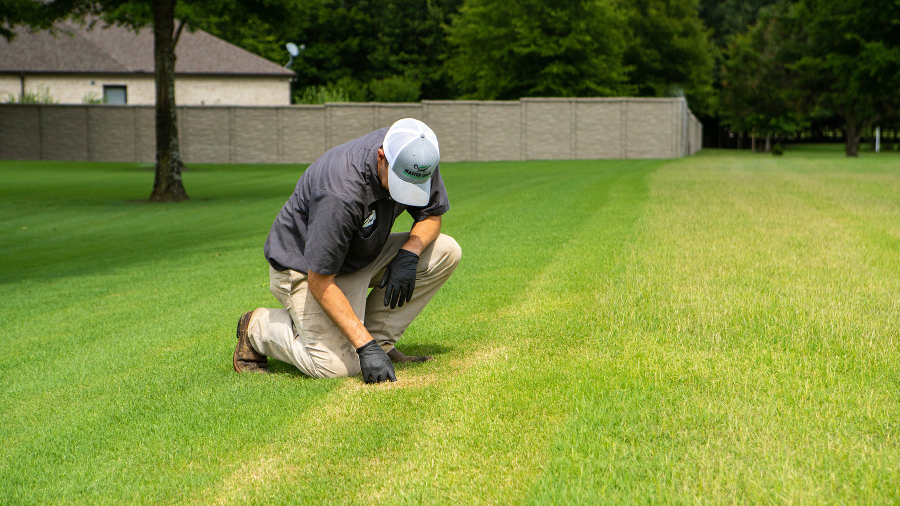 lawn care technician inspecting lawn