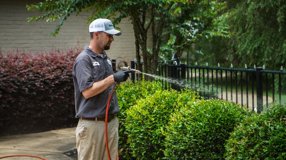 plant health care technician spraying shrubs