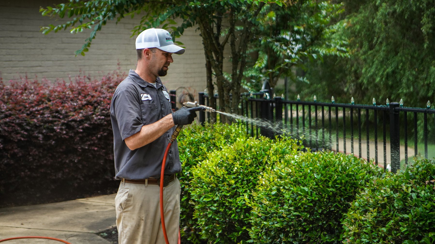 plant health care technician spraying shrubs and landscape