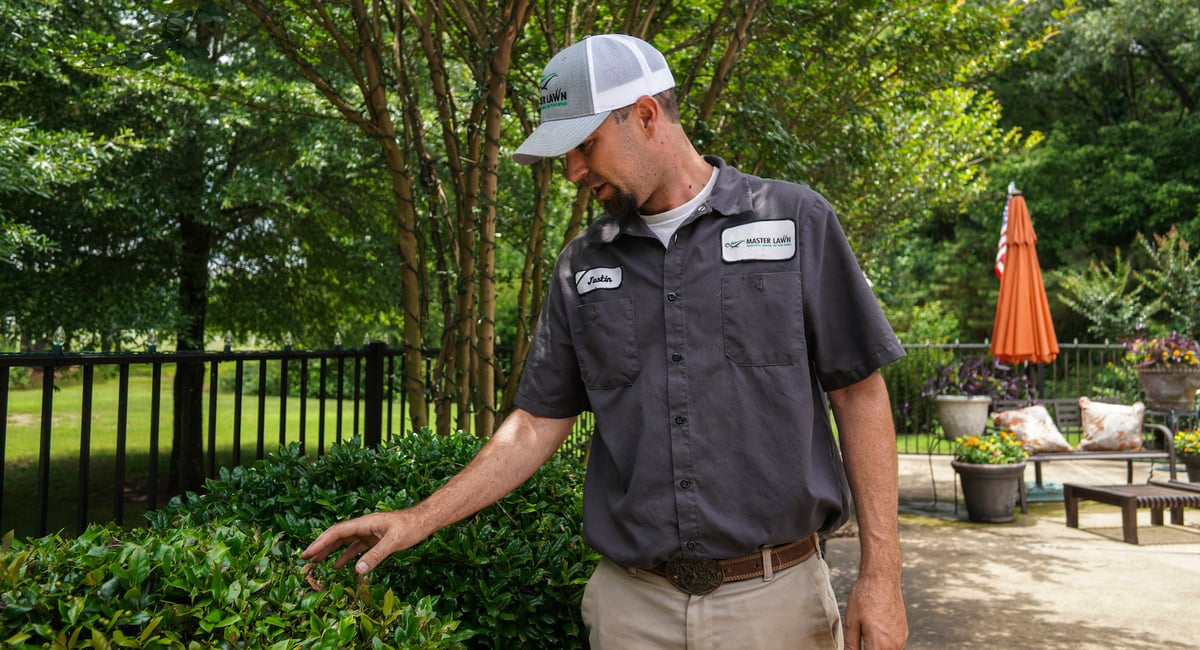 technician inspecting shrubs