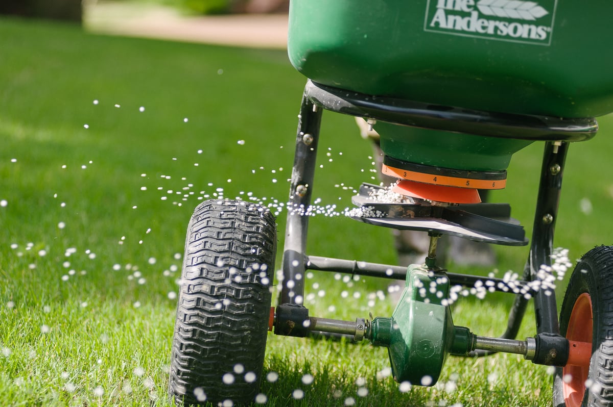 granular fertilizer coming out of spreader