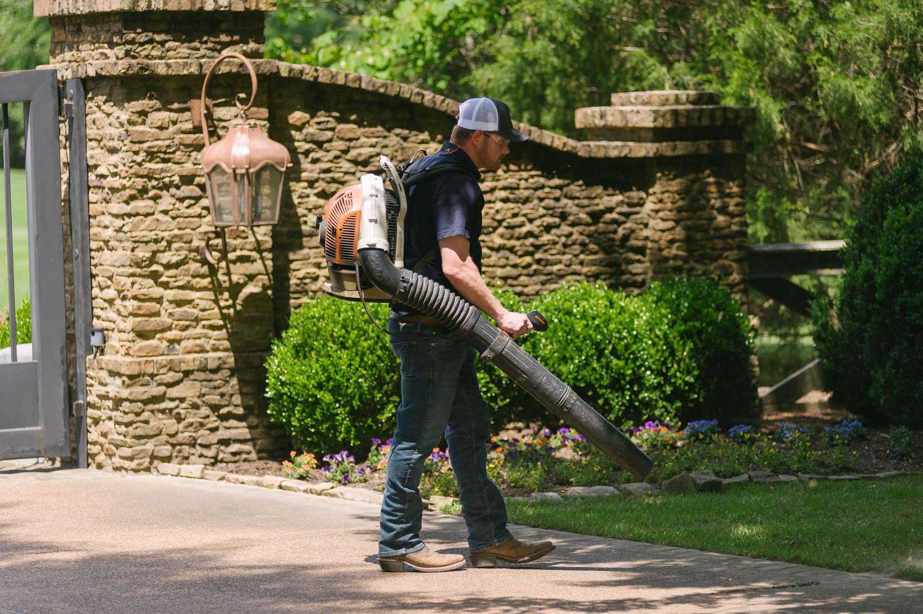 Diy yard flea treatment shop