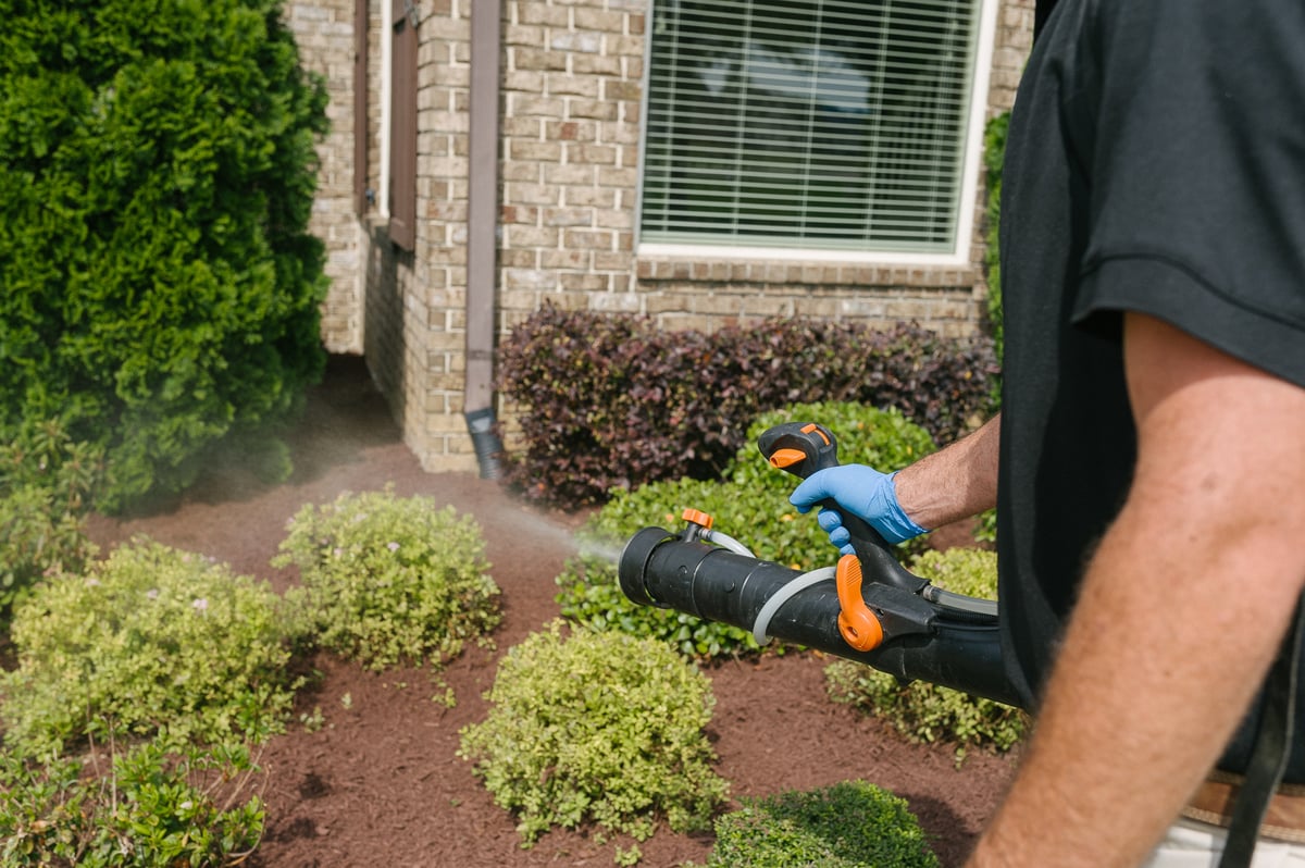Mosquito Control Services technician 