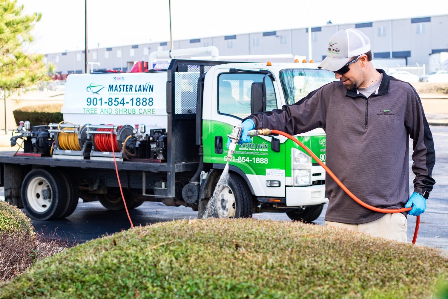 Plant health care technician spraying shrubs