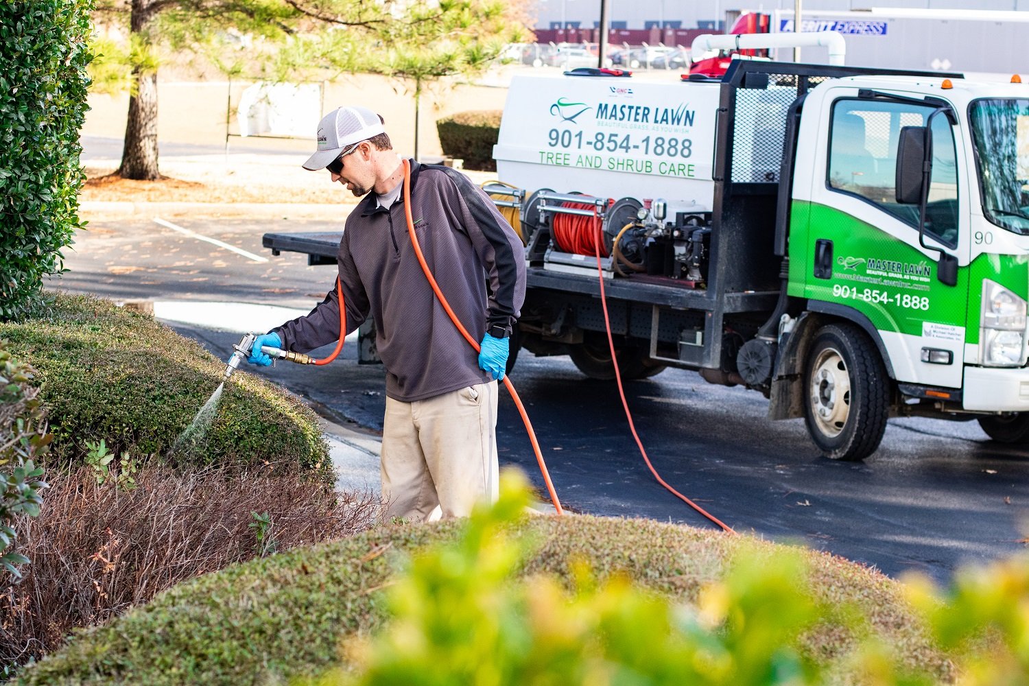 Mater Lawn technician spraying shrubs