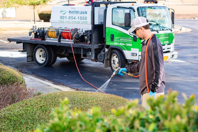 Master Lawn plant health care technician spraying shrubs