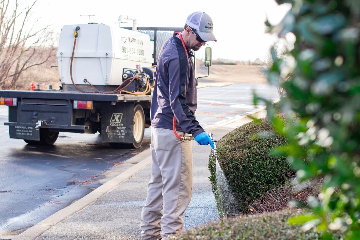 plant health technician spraying diseased shrub