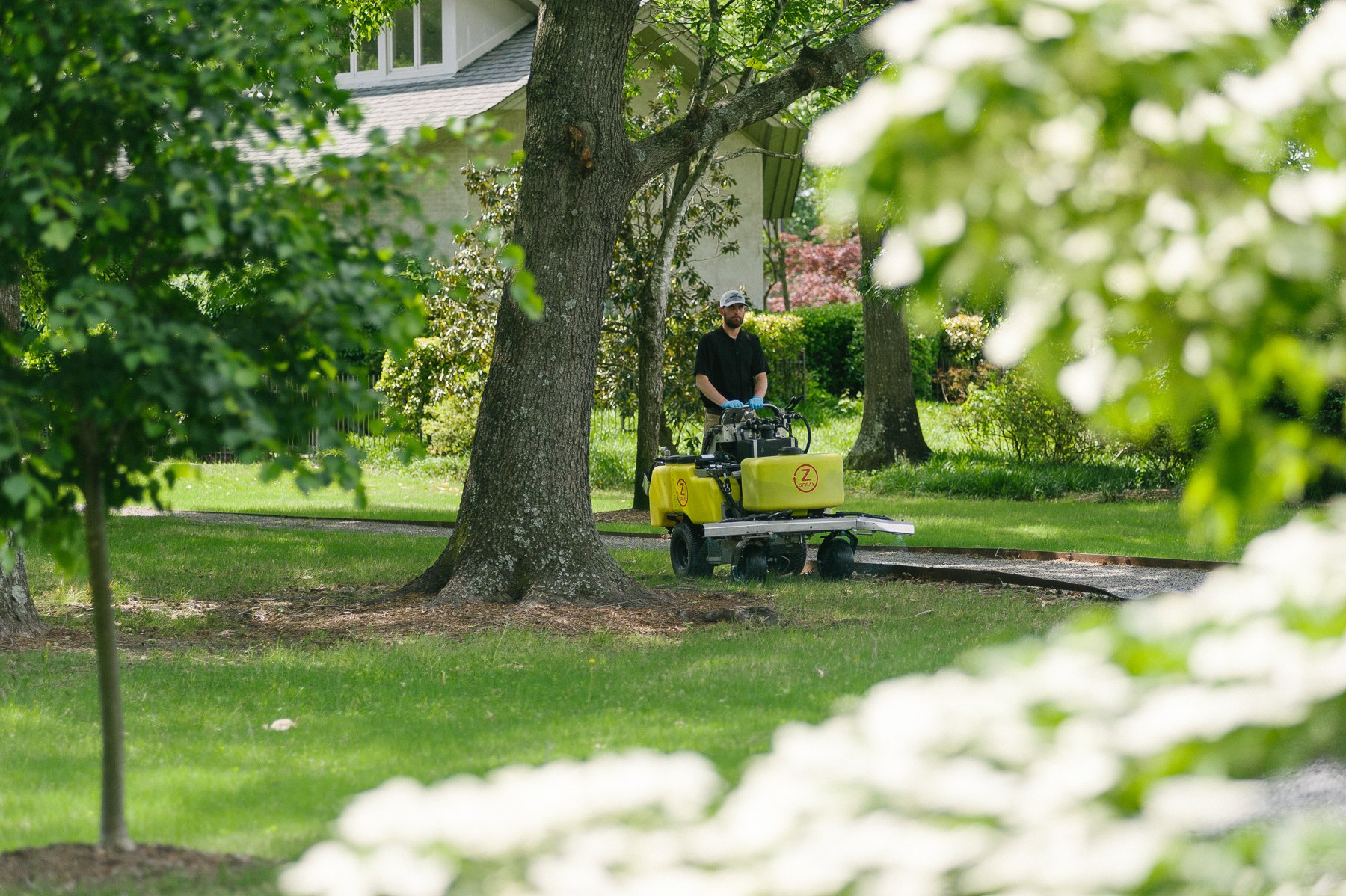 lawn technician near tree with mulch ring