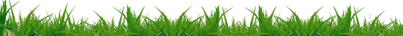 lawn fertilizer companies hernando ms