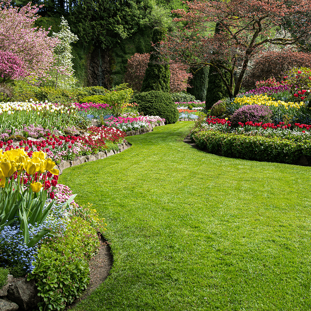 Plant Health Pricing_Master-Lawn-min