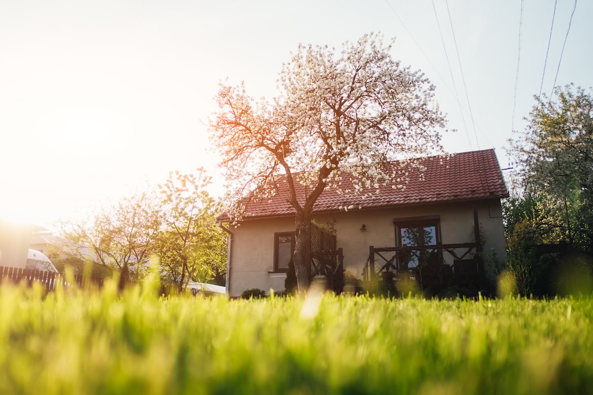 green healthy lawn cared for by lawn care company in Memphis