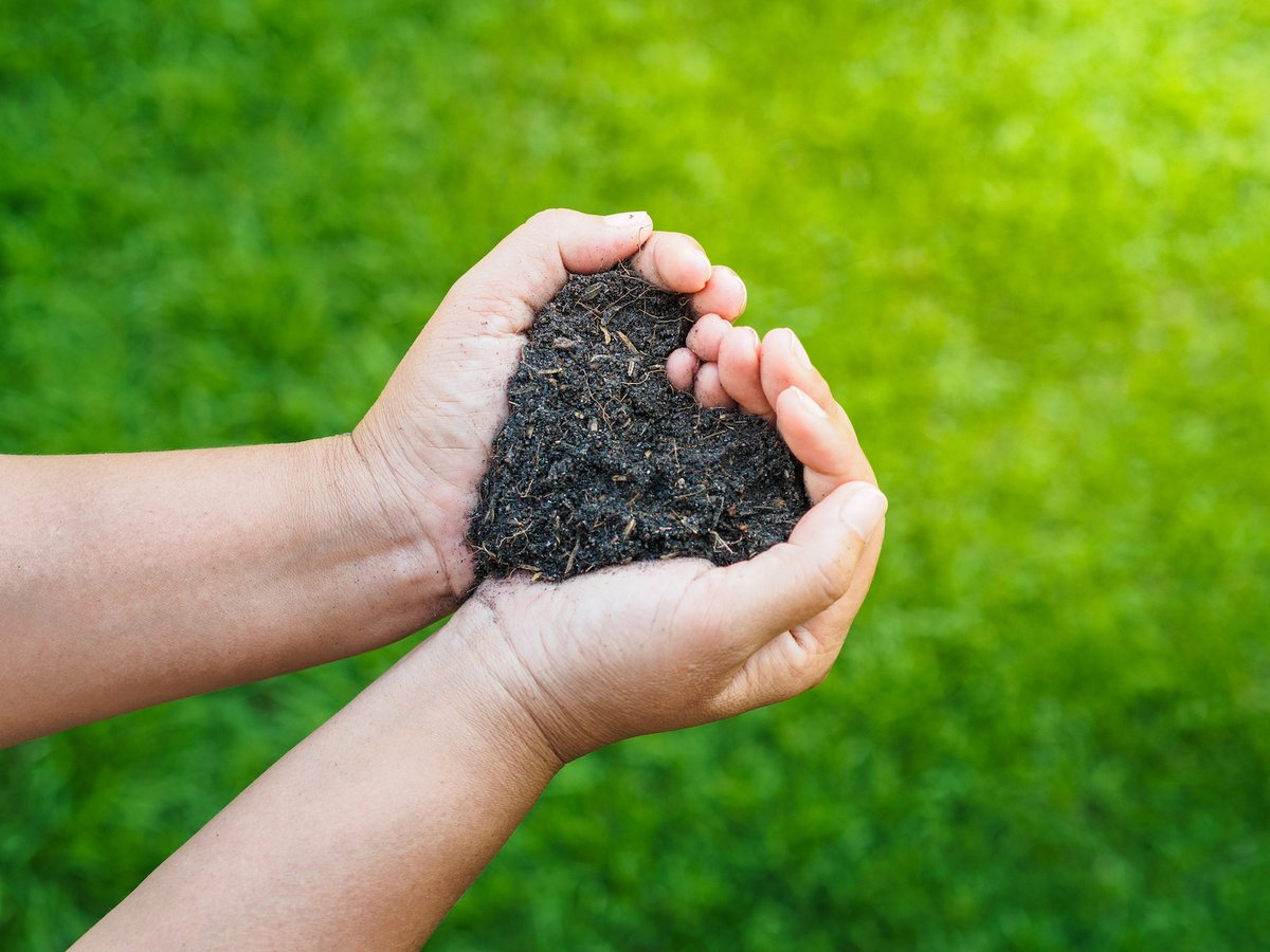 soil in hands
