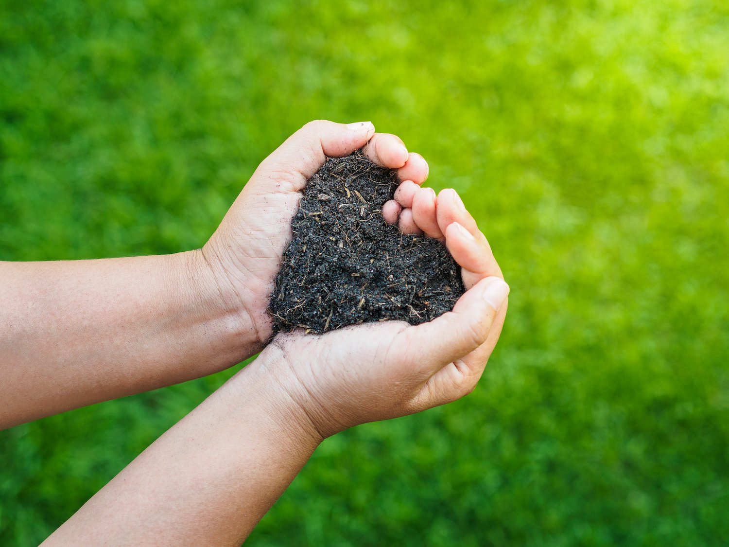 Healthy soil is key to a healthy lawn