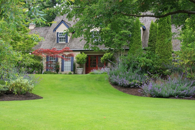 Healthy lawn with no insects