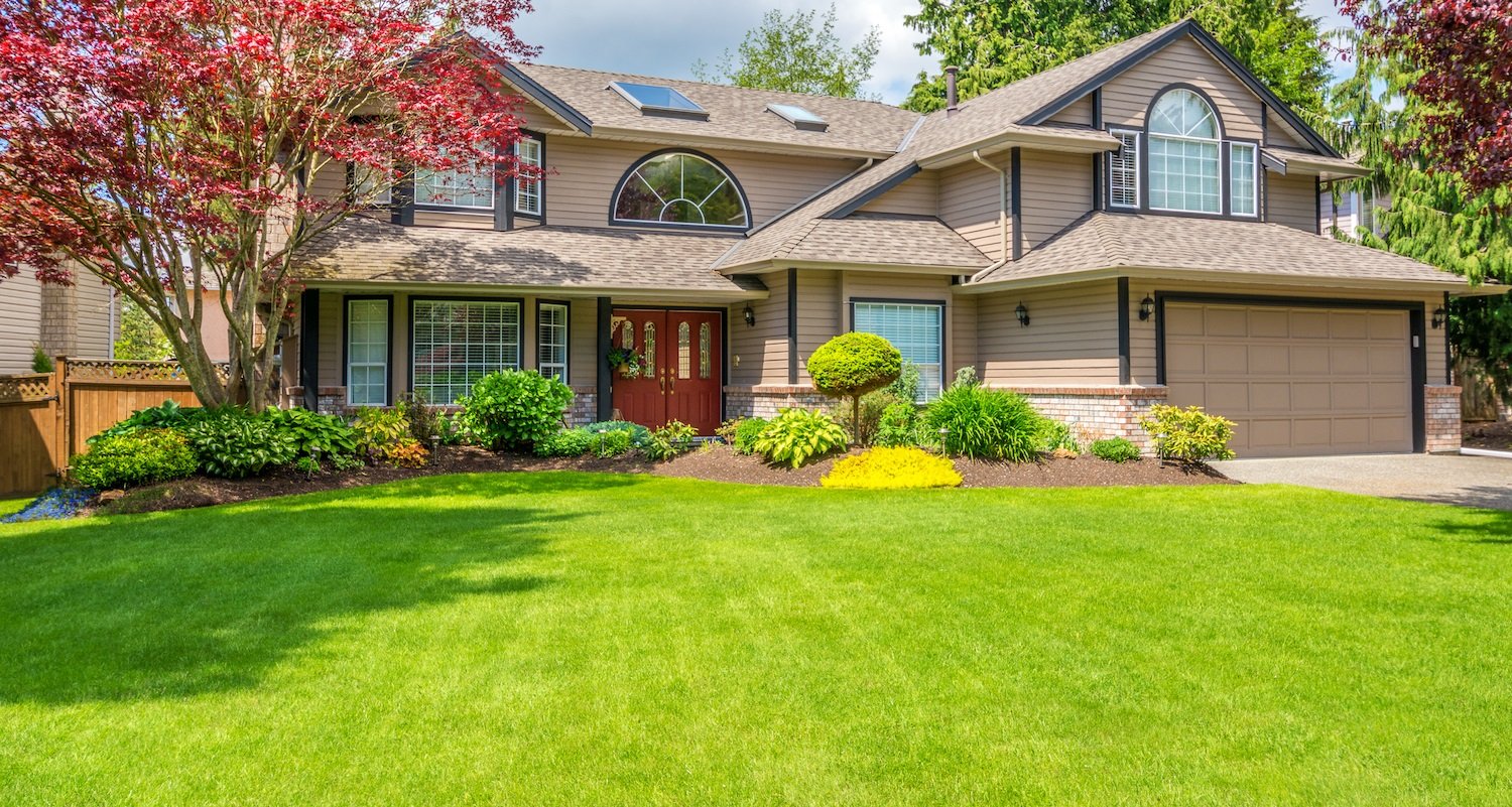 house-lawn-trees-shrubs-3 - EDITS