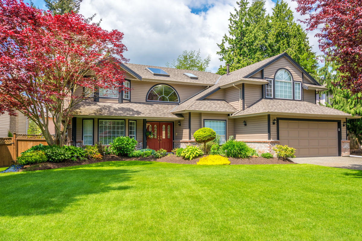 house with healthy shrubs and trees and green grass