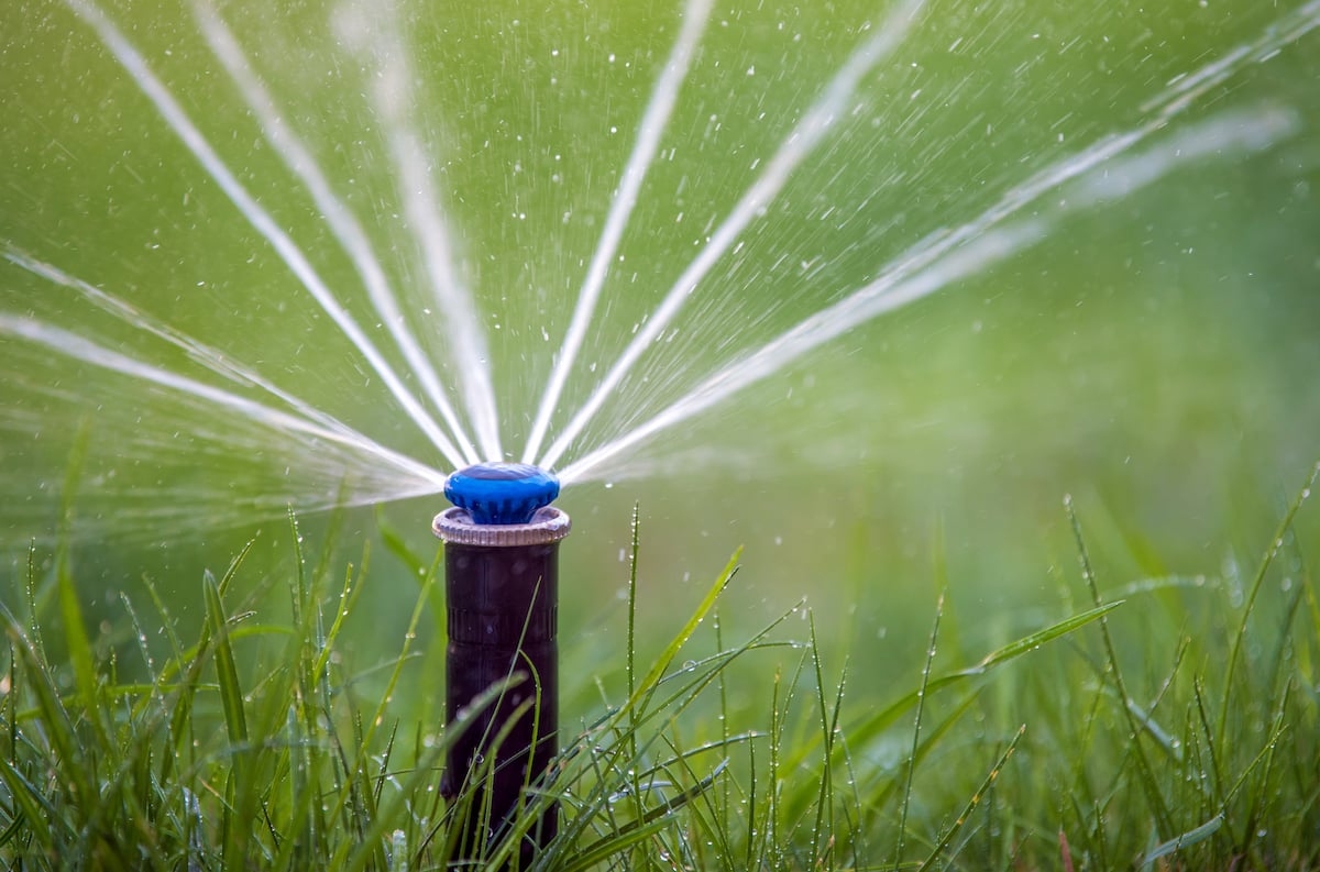 sprinkler waters lawn