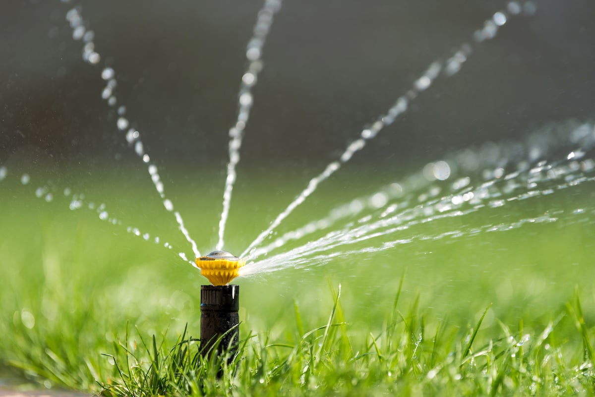 sprinkler in action