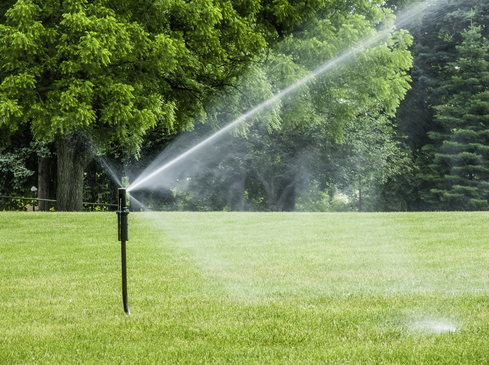 irrigation after lawn fertilizing