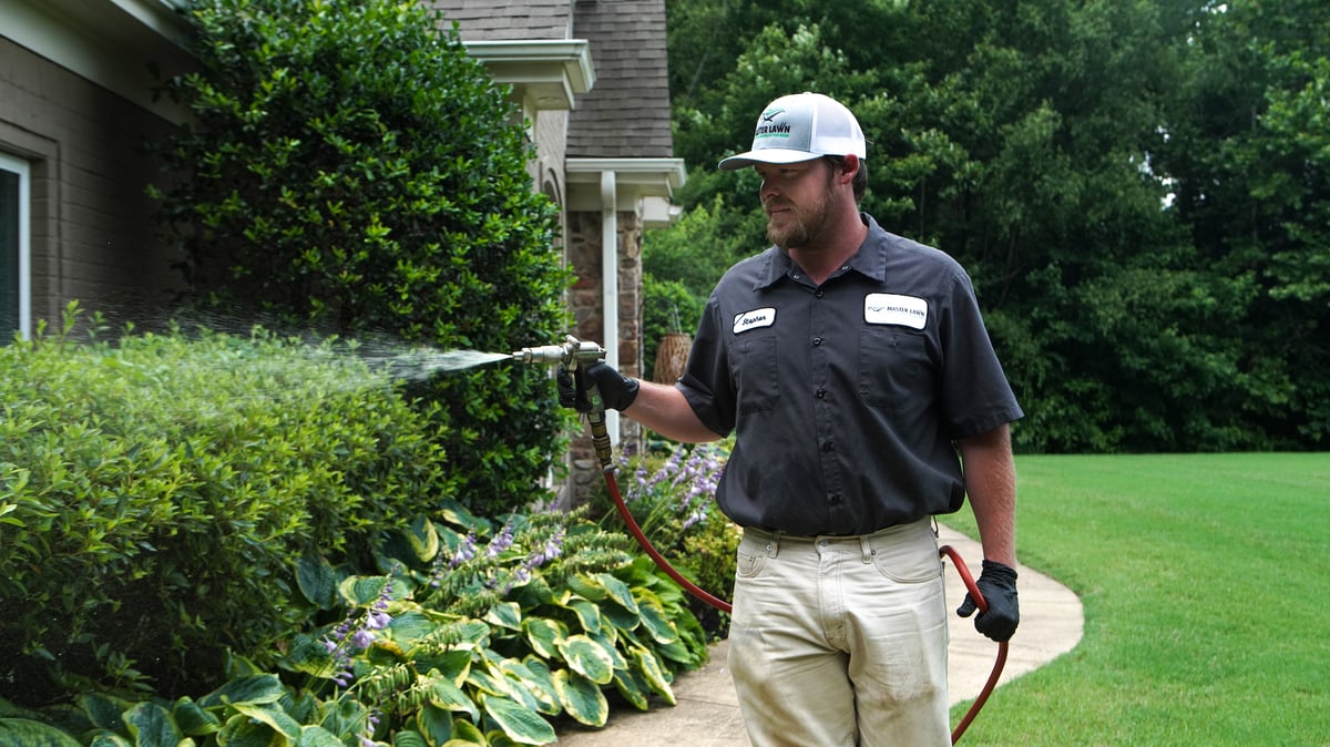 plant health care team sprays shrubs