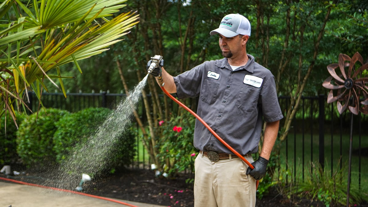 plant care technician spraying tree