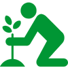 tree-and-plant-care_piperton