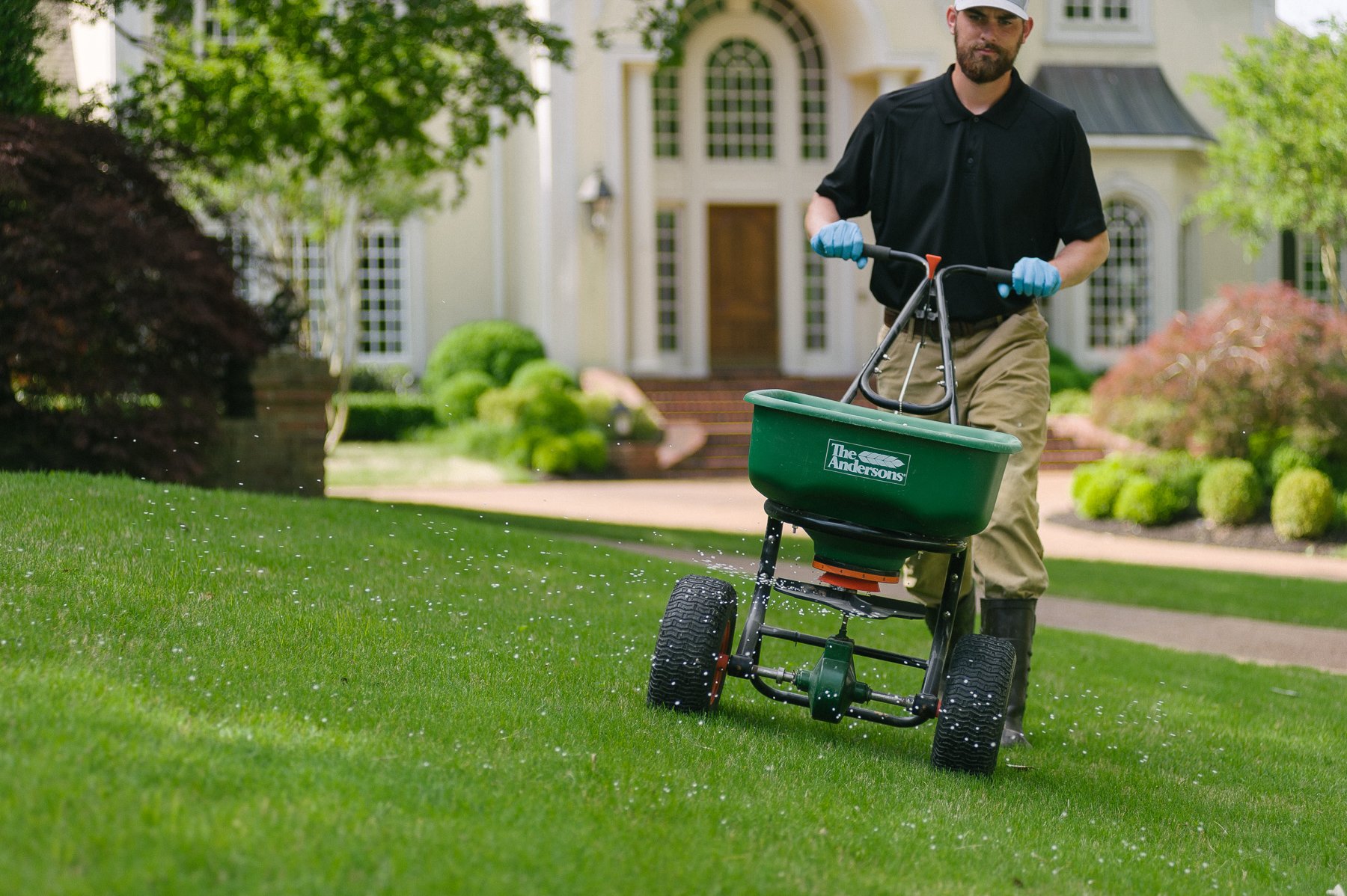 lawn technician fertilizing lawn