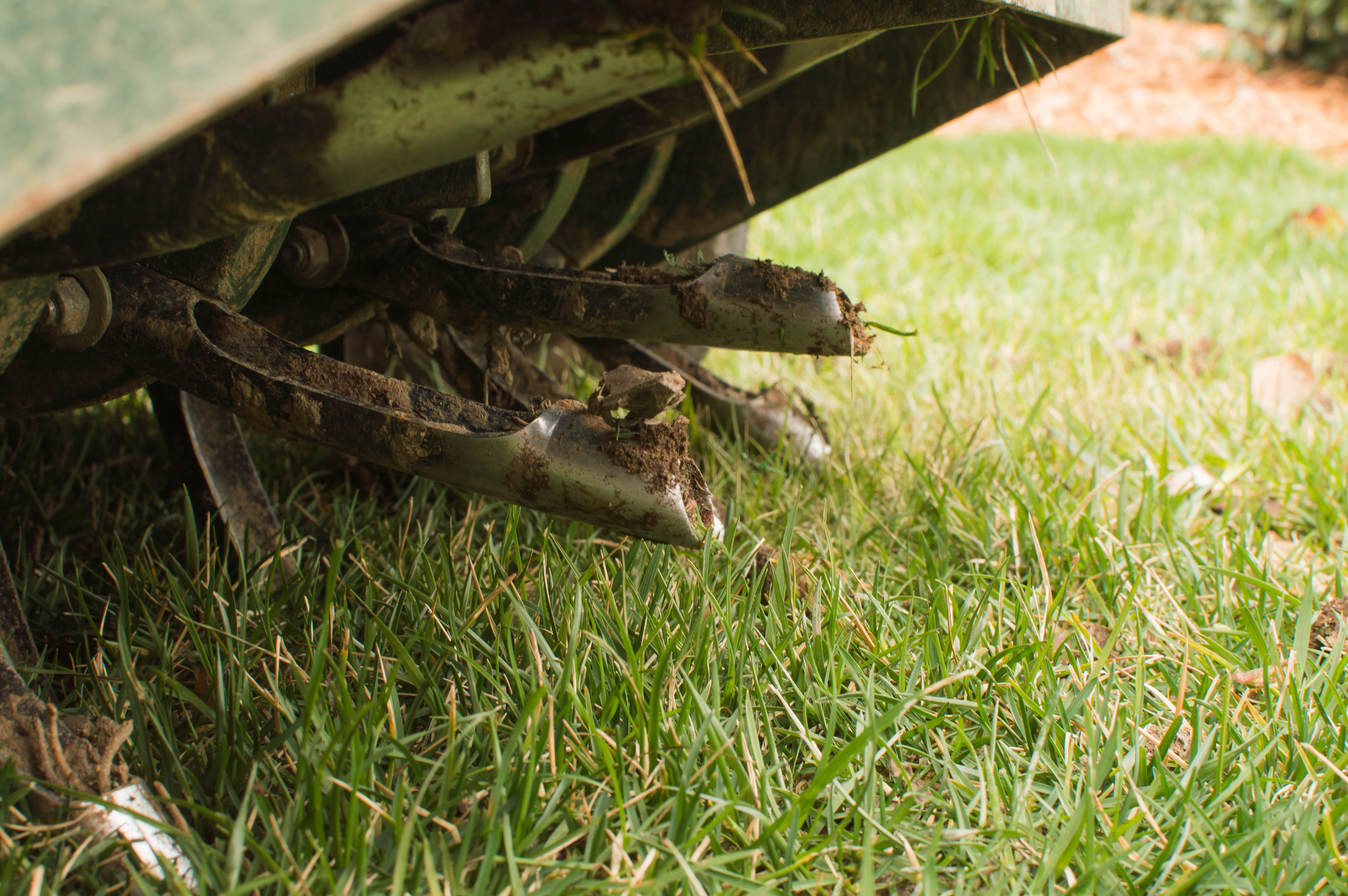 Aeration vs Dethatching: What’s Best for Your Lawn?