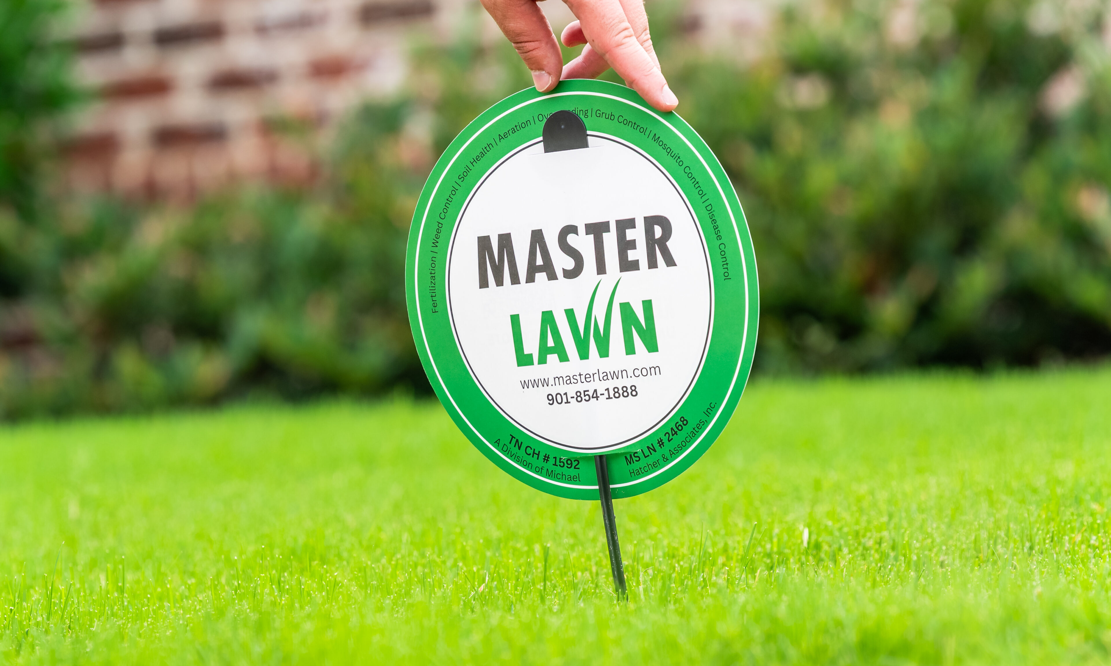 From Dull to Dazzling: How to Get Your Grass Green and Keep It That Way